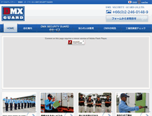Tablet Screenshot of dmxguard.com